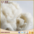 cashmere fiber for knitted sweater made inner mongolia